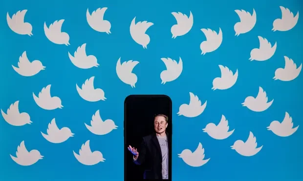 a person standing in front of a screen with a blue background with white birds